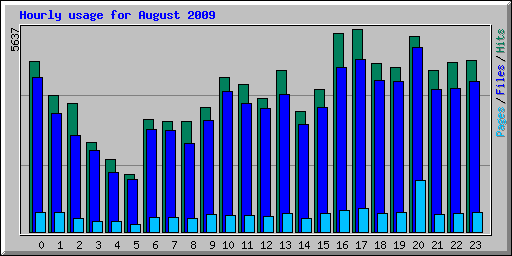 Hourly usage for August 2009