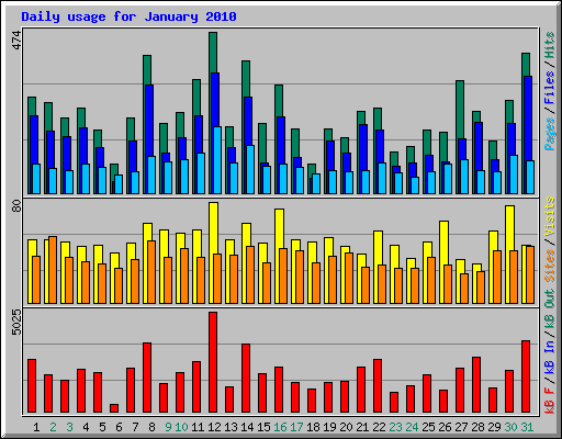 Daily usage for January 2010