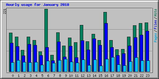 Hourly usage for January 2010