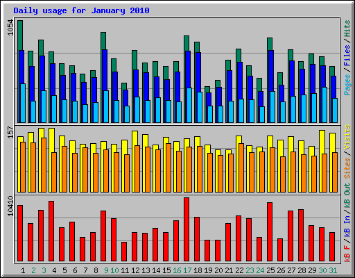 Daily usage for January 2010