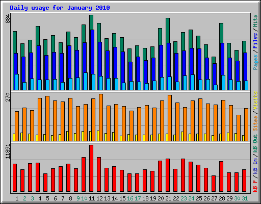 Daily usage for January 2010