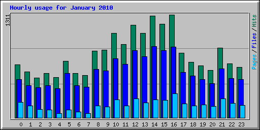 Hourly usage for January 2010